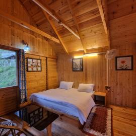 Mid Conifer Cottage Villa, hotel in Dalhousie