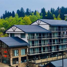 Bakuriani Art Hotel apartament