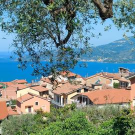 Casa Olivella
