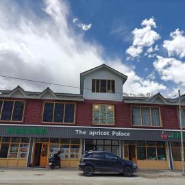 The Apricot Palace, hotel v destinácii Kargil