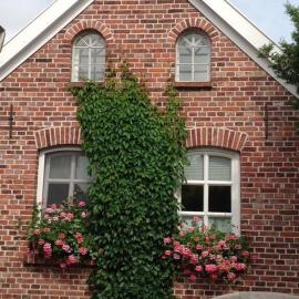 Klaassen- Ferienhaus Up Warf, hotel v destinácii Emden