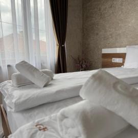 Стаи за гости- Maria Elegance, hotel in Pavel Banya