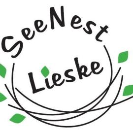 SeeNest Lieske、Lieskeのホテル