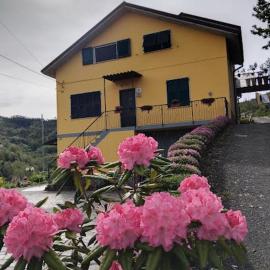 La valle fiorita, Hotel in Soviore