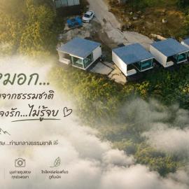 The Forest View ภูทับเบิก