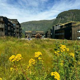 Mountain Apartment With Views In Myrkdalen, hotel a Vossestrand