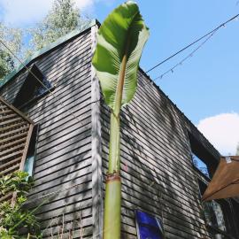 Tiny House Boho Océan – hotel w mieście Naujac-sur-Mer