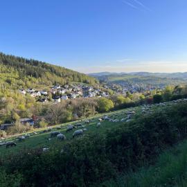 Terrasse mit Grill nahe Winterberg bis 6 Gäste, хотел в Шмаленберг