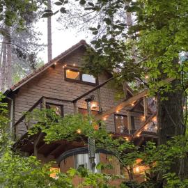 Chalet dans les bois avec bain nordique et cinéma, hotel Genappe városában