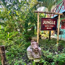 The Jungle Hotel and Bar, hotel Bocas Townban