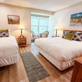 So Davis St 333 Unit #414 ~ Mountaineer, hotel in Telluride