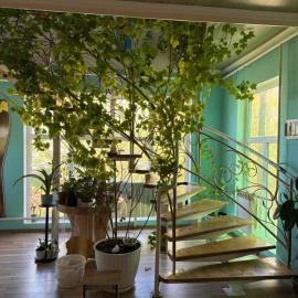 Fazenda Ak-Terek, hotel a Ak-Terek