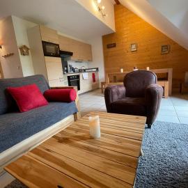 Duplex Puy du rocher 16, Hotel in Le Lioran