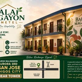 Balai Magayon Barkada Room, hotel en Aplaya