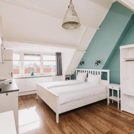 Divi Divi Zandvoort