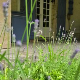 Vacances Castellane