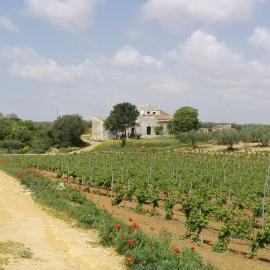 Agri Experience - Case Gentile, hotell i Castelvetrano Selinunte