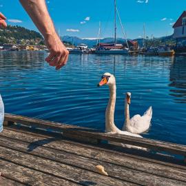 Nortorp, stort hus med egen brygge i sentrum, hotel a Kvam