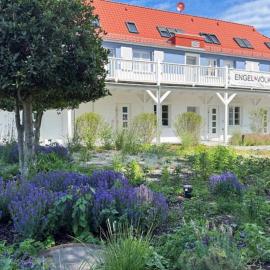 Dünenloft, hotel in Ahrenshoop