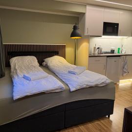 Brand new mini apartment with kitchen, hotel en Åmot