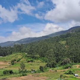 Grace villa Homestay, hotel in Vattavada