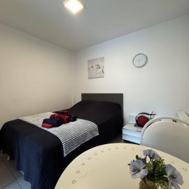 Luxueux studio calme avec jardin & terrasse Métro direct centre de Bruxelles