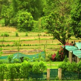 Entire Farm house in Jim Corbett with staff and cook, khách sạn ở Rāmnagar