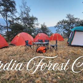 Bardia Forest Camp, hotel a Bardiyā