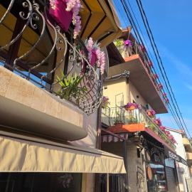 CASA DFG