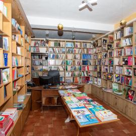 Friends And Books- Miq dhe Libra