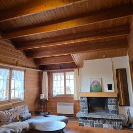 Cozy Chalet in Alpine village, Interlaken region