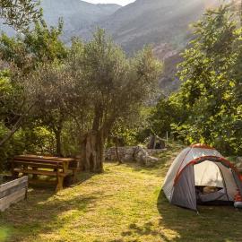 My Olive Garden Camp, hotel a Bar