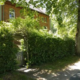 Apartment Wallblick