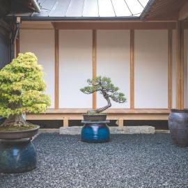 Nuu Takedamise, the Villa, hotel in Kami-yuge