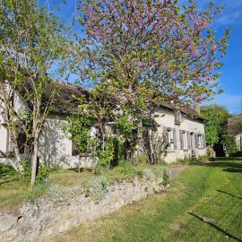 Le vallon des vignes
