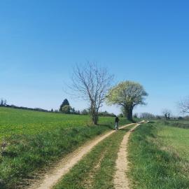 Grande Chambre et salle de bain pour 2 sur le chemin de Compostelle、Bachのホテル