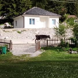 Artani selimi, hotel in Valbonë