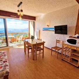 Appartement 4 pers, balcon sud, parking, wifi, animaux admis