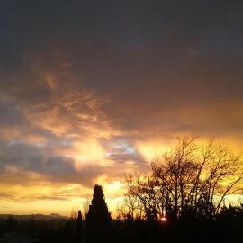 Au cœur des Alpilles
