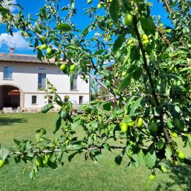 Grancia di Matilde B&B