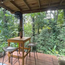 Calm jungle retreat