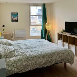 Appartement cosy au cœur de Nancy