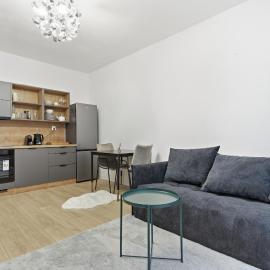 New 1BR Apt steps to Nivy and Bus Station、Nivyのホテル