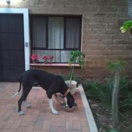 Hotel Casa Capadose, hotell i Tlayacapan