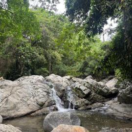 Hostal Nomadax Tayrona