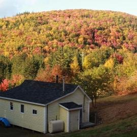 Englishtown में, होटल Adorable one-bedroom cottage on Cabot Trail