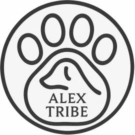 Alex Tribe Cafe and Funstay, hotel in Sainj
