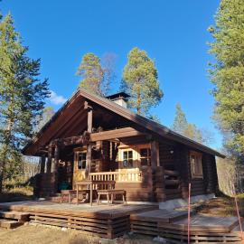 Kotikolo