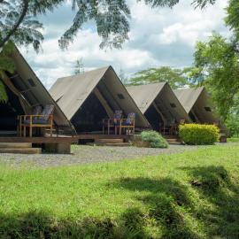 The Stripey Horse Camp and Restaurant, hotel sa Kenplains