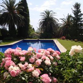 Villa Iolanda-Sive Natura Wine&House